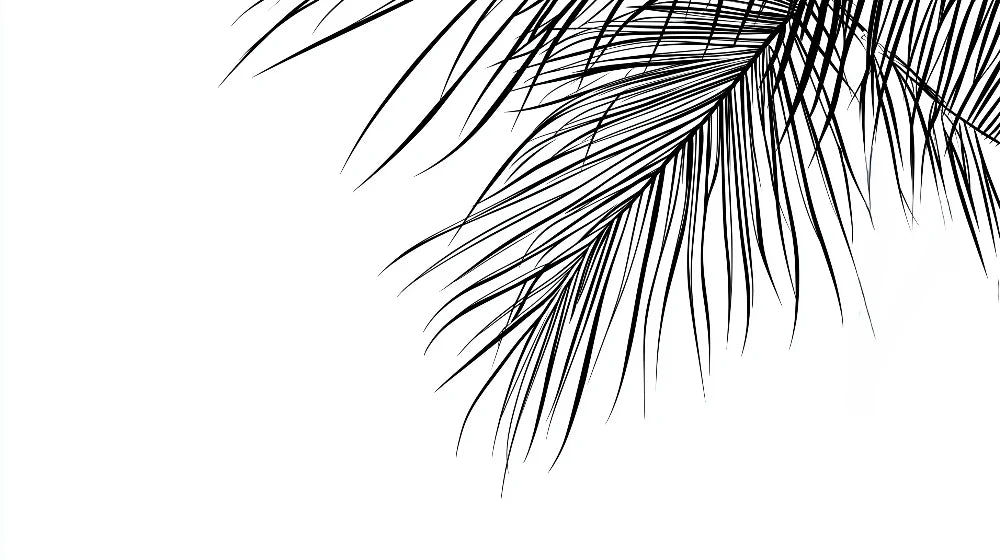 Mural Wallpaper black and white foliage | Falling palm tree