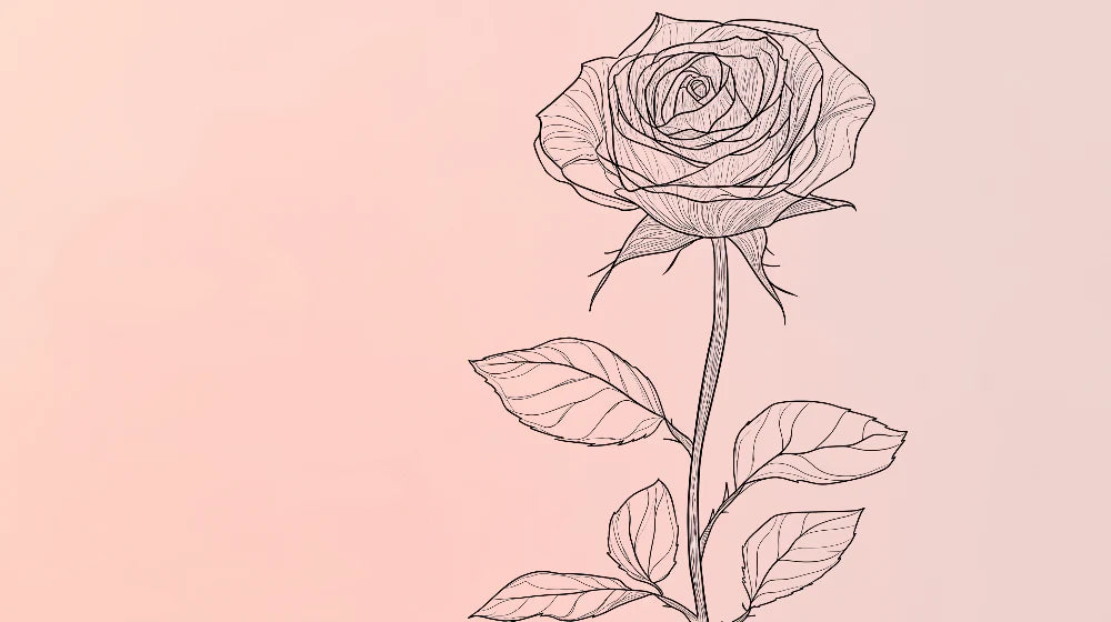 Mural Wallpaper rose linear | Elegantrose with delicate lines