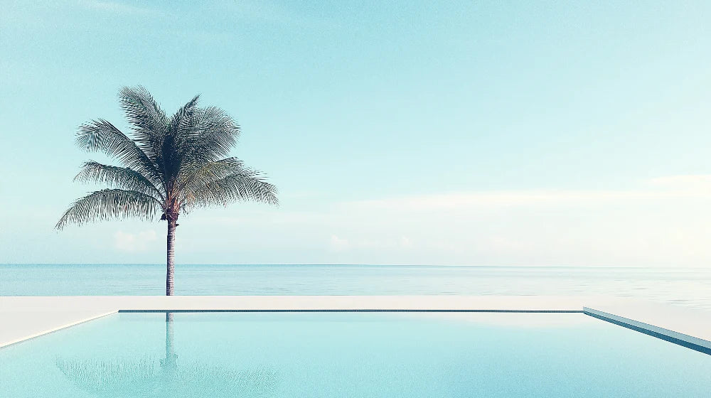 Mural Wallpaper palm tree and pool | Soothing scene with palm tree and ocean view