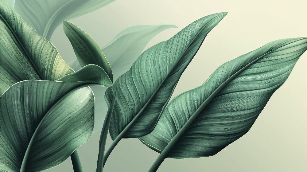 Mural Wallpaper green foliage | Banana leaves and beige background