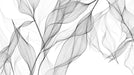 Minimalist black and white foliage wallpaper with delicate botanical design